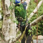 Arborist som beskär träd
